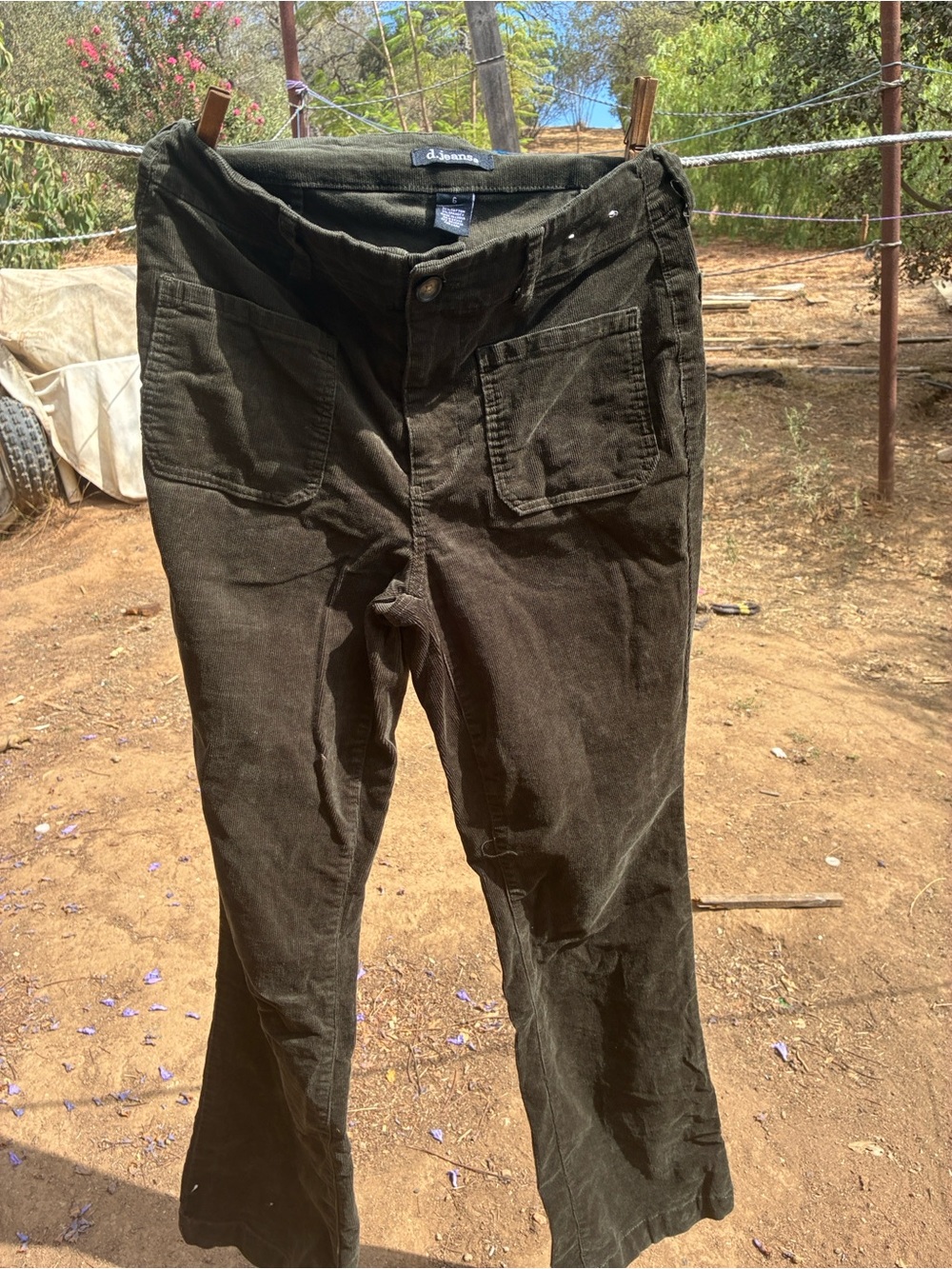 d. jeans Olive Corduroy Straight-Leg Men's Pants